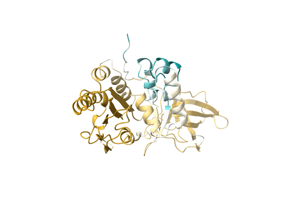 AF-A0A220D8X7-F1 image