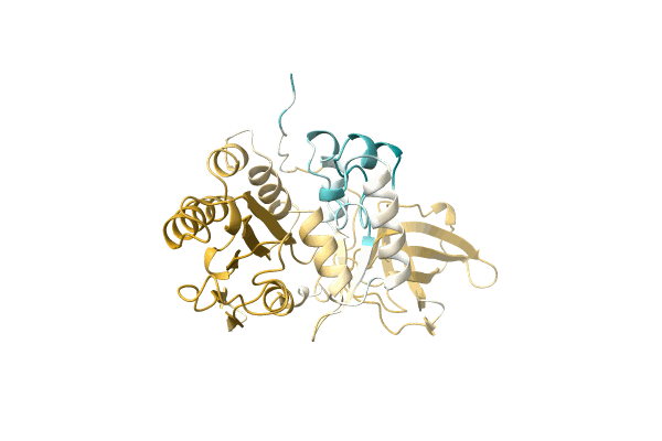 AF-A0A220D9B8-F1 image