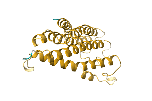 AF-A0A220IXH2-F1 image