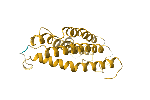 AF-A0A220IXR9-F1 image