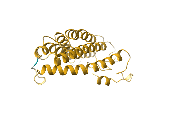 AF-A0A220J8L9-F1 image