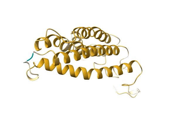 AF-A0A220JC41-F1 image