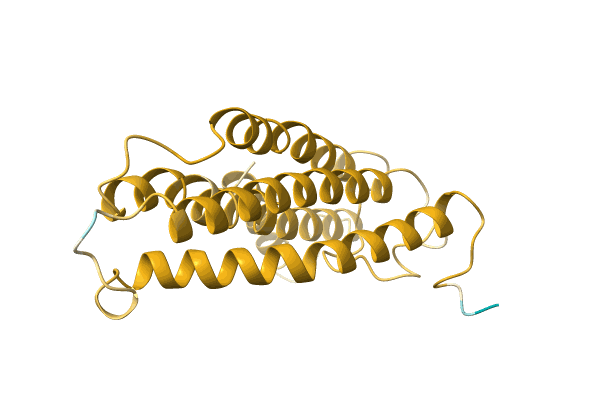 AF-A0A220JE23-F1 image