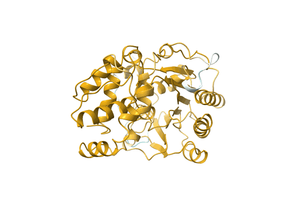 AF-A0A221J5P3-F1 image