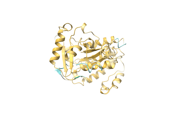 AF-A0A222AJ10-F1 image