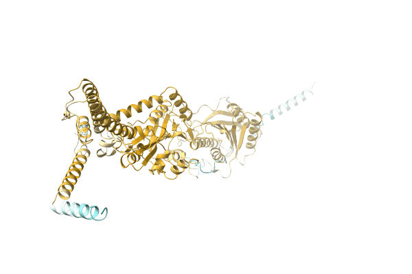 AF-A0A223HCY7-F1 image