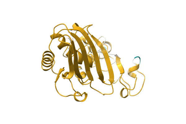 AF-A0A223LCE3-F1 image