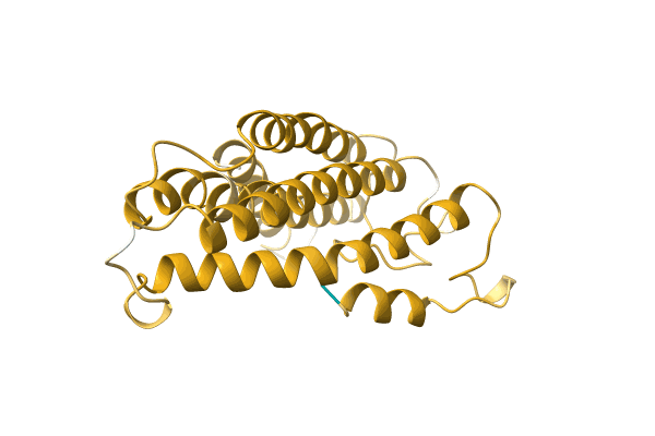 AF-A0A248XE37-F1 image