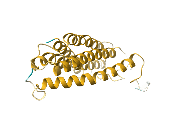 AF-A0A248XFU8-F1 image