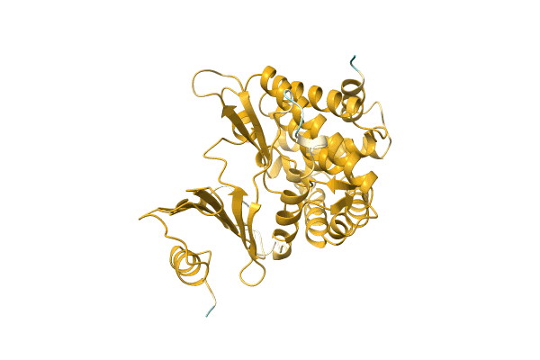 AF-A0A286LEZ6-F1 image