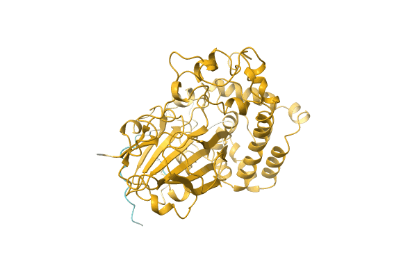 AF-A0A286LEZ8-F1 image