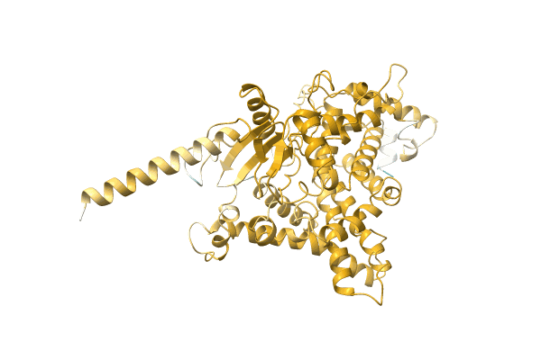 AF-A0A286LF02-F1 image