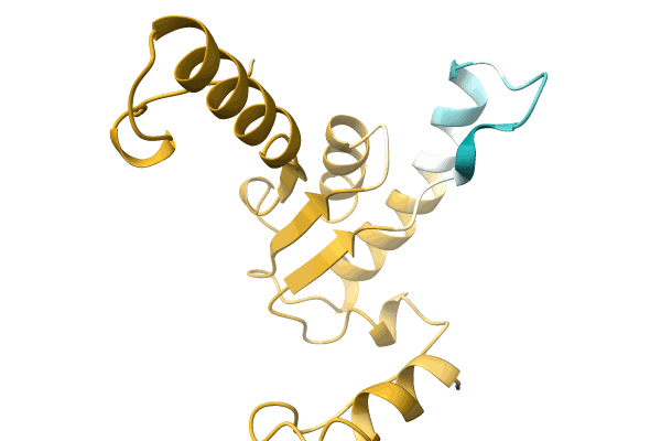 AF-A0A286MMH9-F1 image