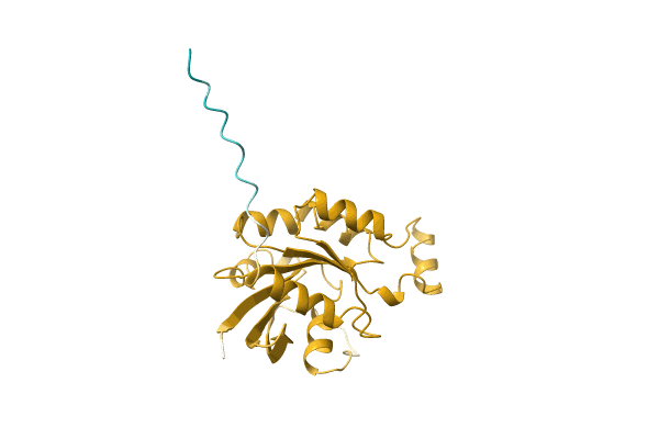 AF-A0A286QZ36-F1 image