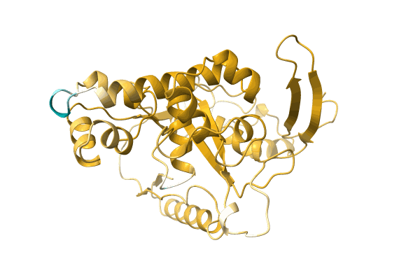 AF-A0A291LUL9-F1 image