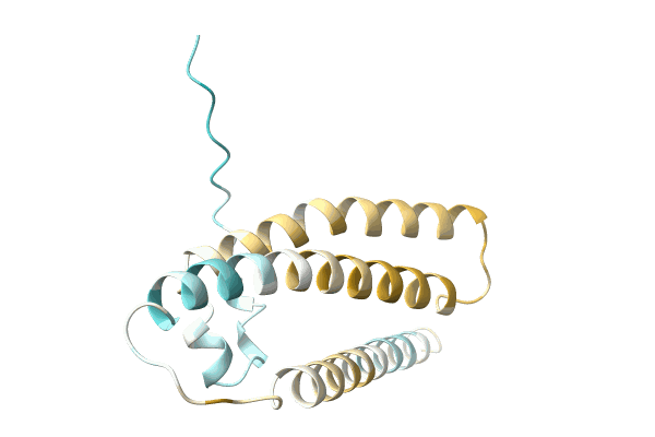 AF-A0A2A4ZXG8-F1 image