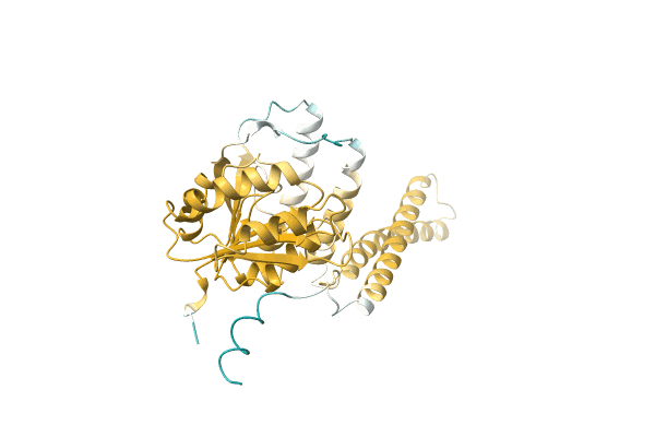 AF-A0A2A4ZXL0-F1 image