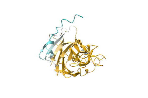 AF-A0A2A4ZXM3-F1 image