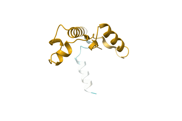 AF-A0A2A4ZXP2-F1 image