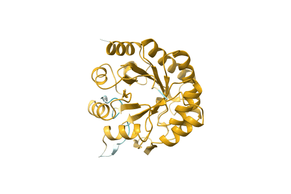 AF-A0A2A5A746-F1 image