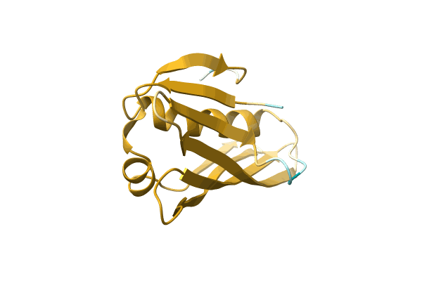 AF-A0A2A5A7A4-F1 image