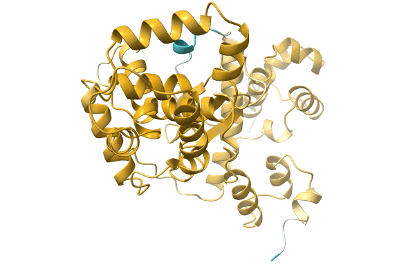 AF-A0A2A5H0Z0-F1 image