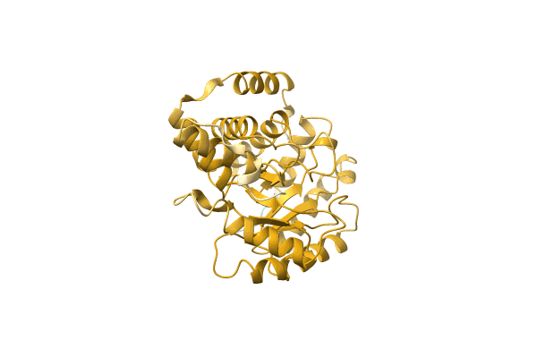 AF-A0A2A5HKM0-F1 image