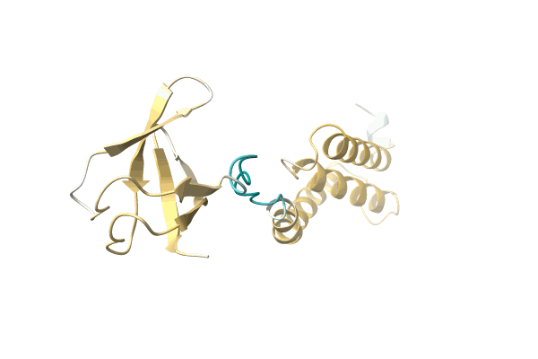 AF-A0A2A5JL35-F1 image