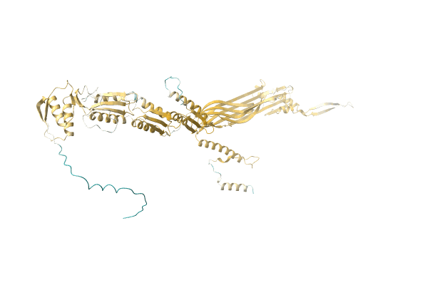 AF-A0A2A5JL47-F1 image