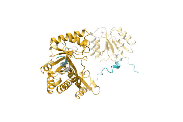 AF-A0A2A5JPL8-F1 image