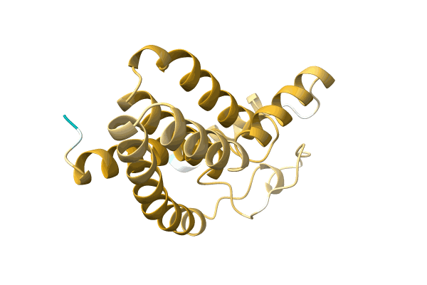 AF-A0A2A5JVR7-F1 image