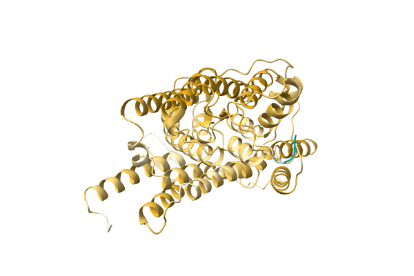 AF-A0A2A5K1W4-F1 image
