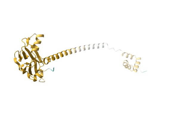 AF-A0A2A5LFV5-F1 image