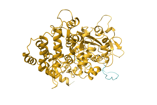 AF-A0A2A5LID7-F1 image