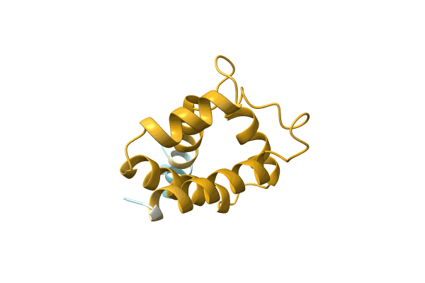 AF-A0A2A7BJK7-F1 image