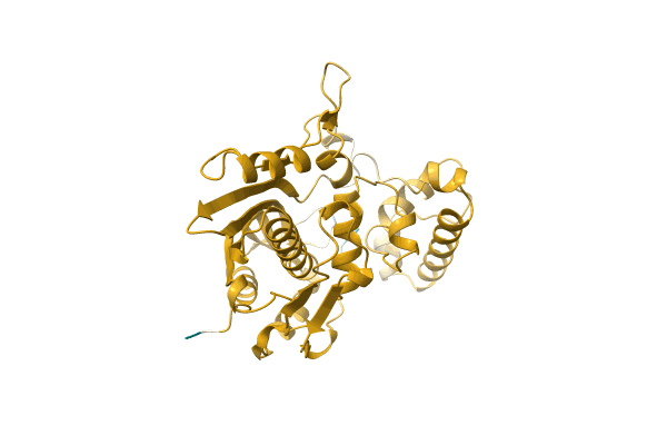 AF-A0A2A7E3F8-F1 image