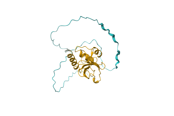 AF-A0A2A8D3X0-F1 image