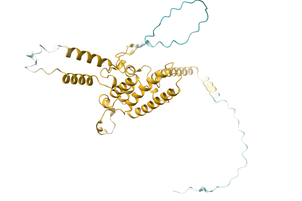 AF-A0A2A9P3K1-F1 image