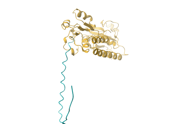 AF-A0A2B5LXS8-F1 image