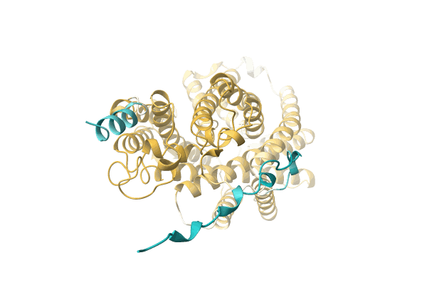 AF-A0A2C7ASM2-F1 image
