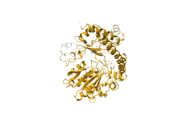 AF-A0A2C9D9F2-F1 image