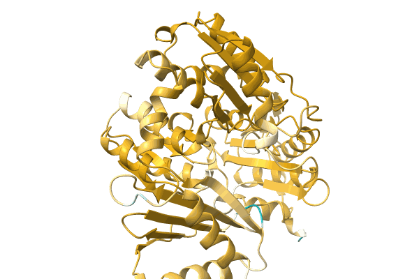 AF-A0A2C9WRF6-F1 image