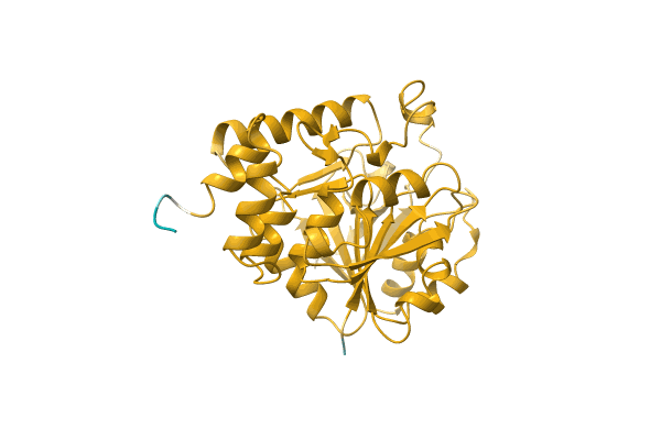 AF-A0A2C9WRI5-F1 image