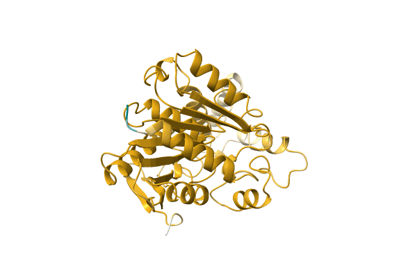 AF-A0A2D0AB90-F1 image