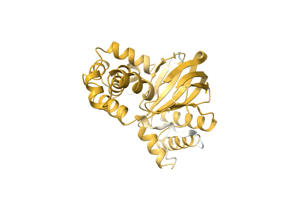 AF-A0A2D0ABA3-F1 image