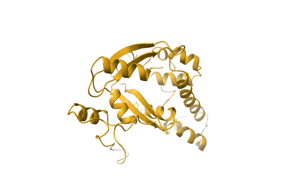 AF-A0A2D0W5F2-F1 image