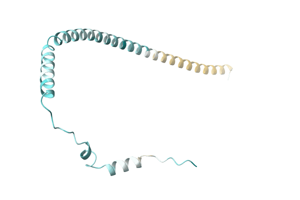 AF-A0A2D1KXS6-F1 image