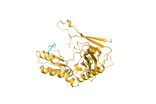 AF-A0A2D2CIC1-F1 image