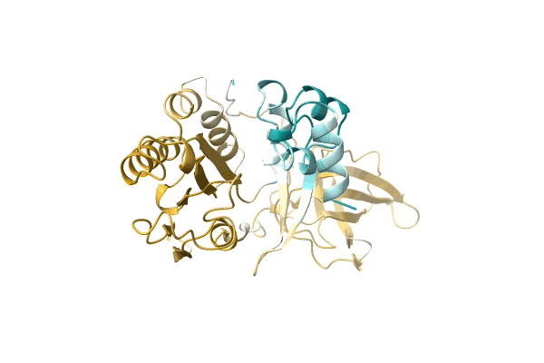 AF-A0A2D2CIN2-F1 image