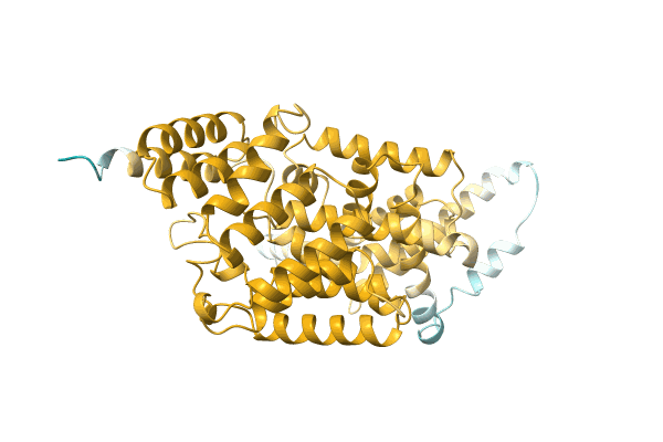 AF-A0A2D2DDM1-F1 image